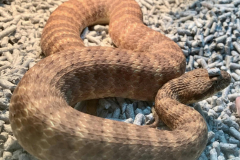 294391748_360045409612770_8200991385182236156_n